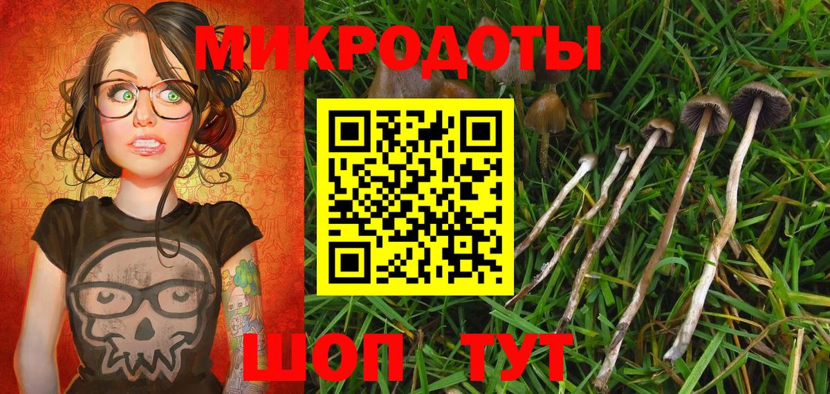 магазин    Галлюциногенные грибы мицелий  Галлюциногенные грибы Magic Shrooms  Вход с VPN  Корсаков 